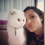 Selin