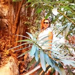 Elif