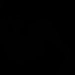 Ayhan