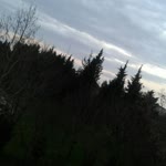 Aslısu