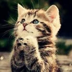 Nur
