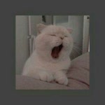 Melike