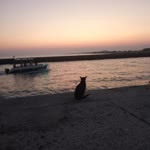 Zeynep
