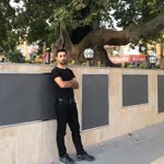 Vedat