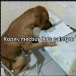 Kadir