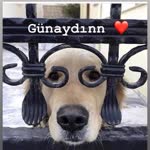 Cihan