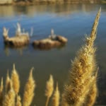 Bakiye