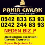 Fazil