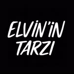 Elvinin