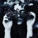 Hanife