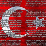 Nur