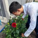 Enes