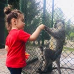 Elif