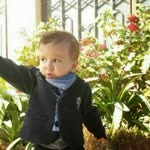 İpek