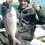 Süleyman