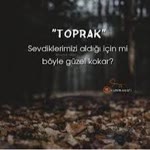 Toprak