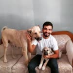 Azad