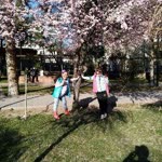 Ceylin