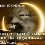 Orhan