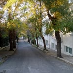Sonay