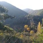 Gözdem