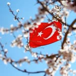 Gülcan