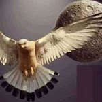 Ekrem