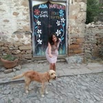 Bircan