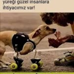 Hatice