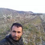 Salim