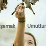 Nejdet
