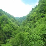 İsa