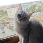 Emrah