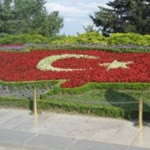 Umut