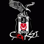Ergin