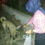 Emreda