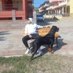 Emre
