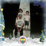 Erol