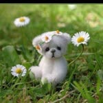 Elif