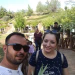 Temel