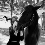 Sanem