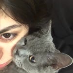 Melis