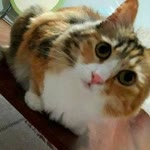 Arzu