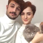 Sevgi