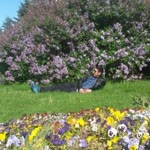 Tayfun