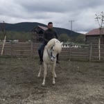 Erhan
