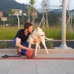 Hamit