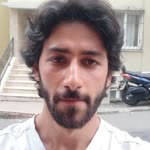 Şahin