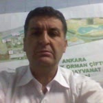 Haydar
