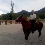 Mustafa